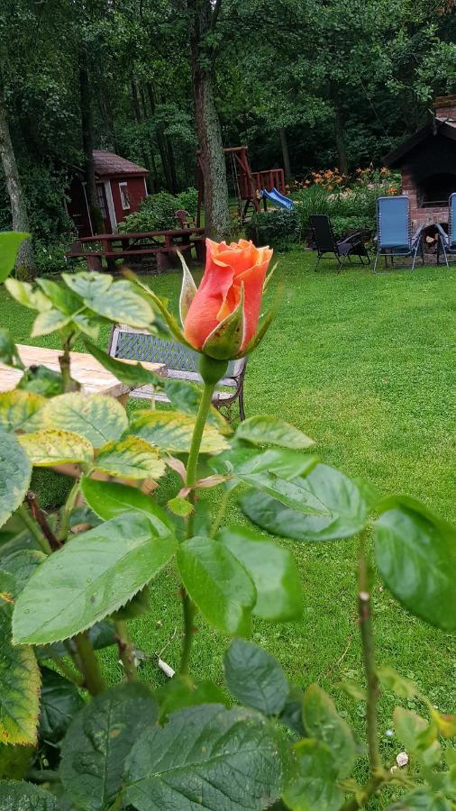 Namelis Nr 1 Adeles Sodyba Sturmai Dış mekan fotoğraf