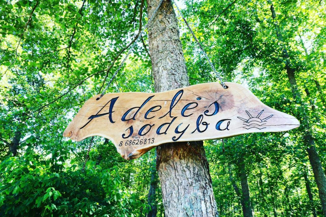 Namelis Nr 1 Adeles Sodyba Sturmai Dış mekan fotoğraf