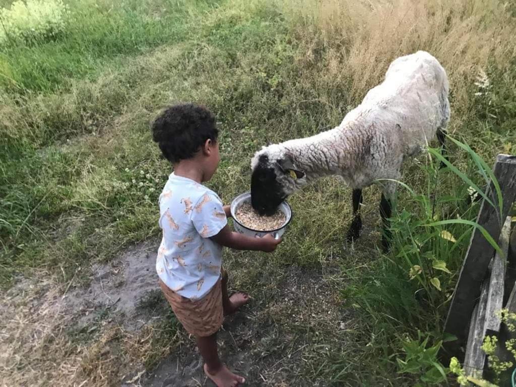 Namelis Nr 1 Adeles Sodyba Sturmai Dış mekan fotoğraf
