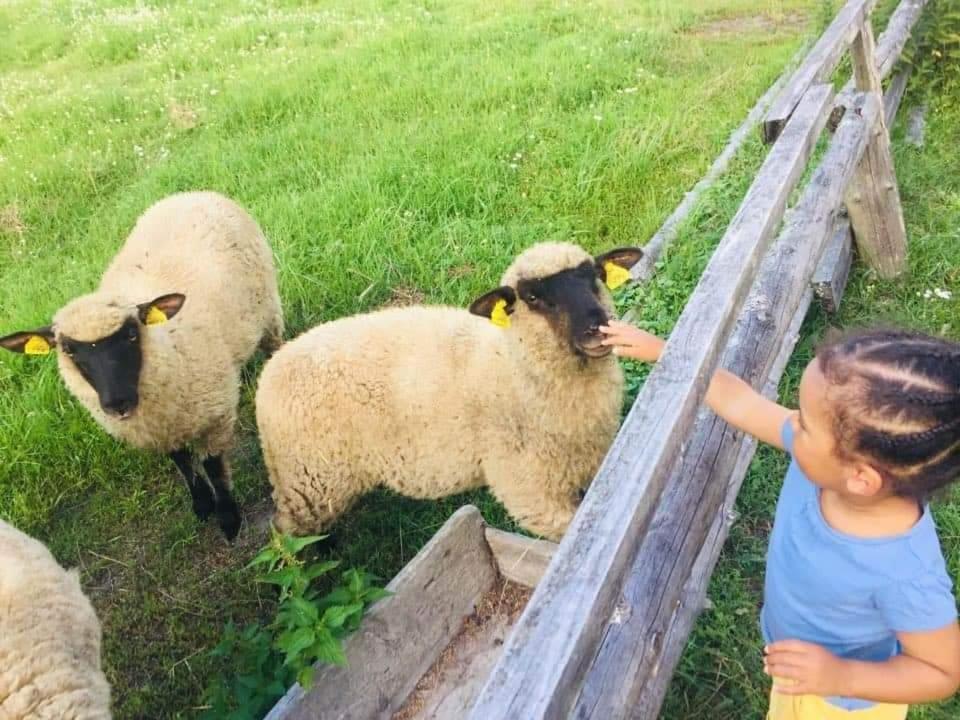Namelis Nr 1 Adeles Sodyba Sturmai Dış mekan fotoğraf